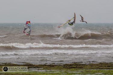 JSC_0498